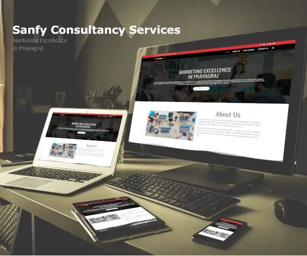 Sanfy Consultancy Services